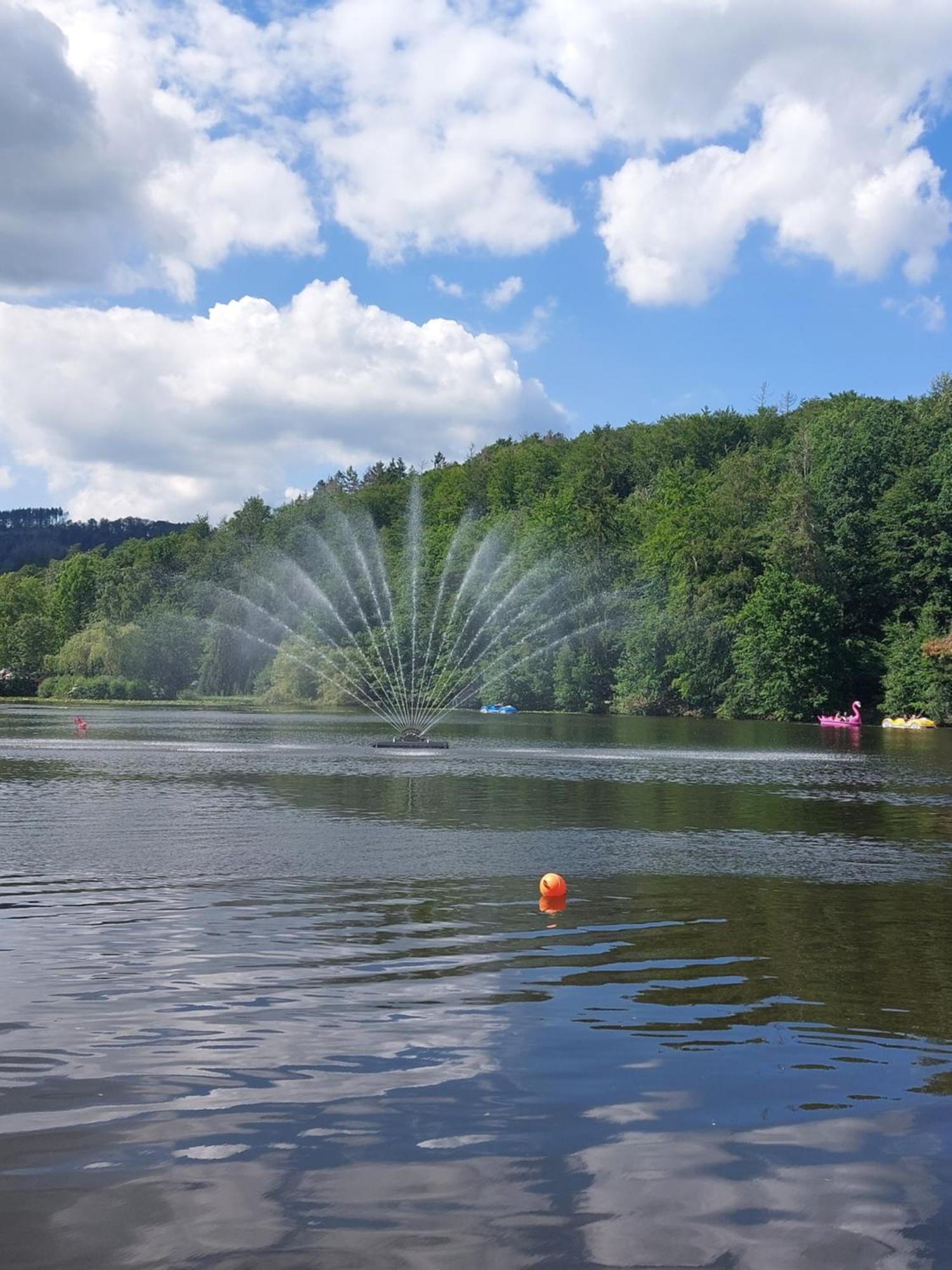 Ferienwohnung Gipfelglueck Mit Fernblick Und Strandkorb Bad Sachsa Buitenkant foto